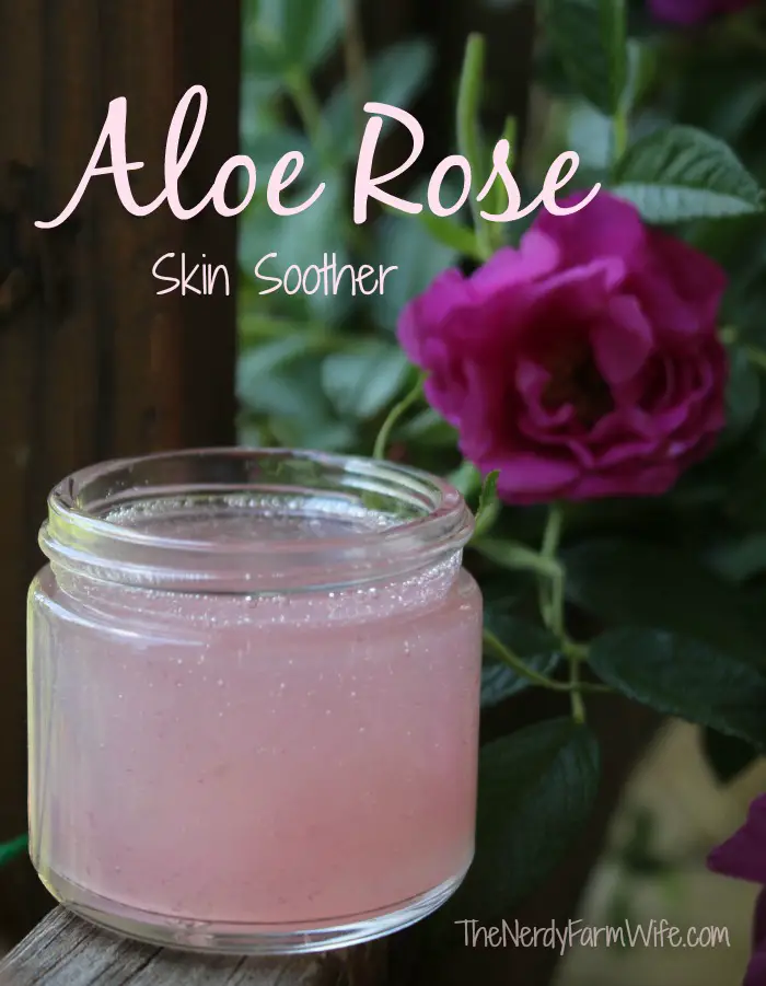 DIY Aloe Vera Face Moisturizer Recipes For Clear Skin