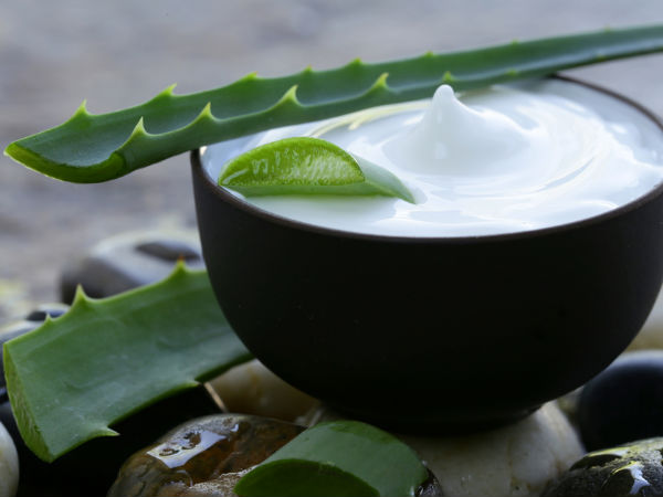 DIY Aloe Vera Face Moisturizer Recipes For Clear Skin