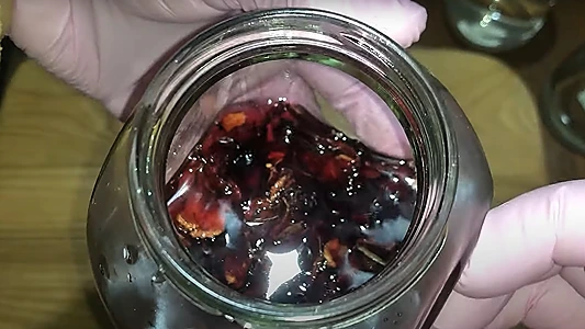 9 DIY Hibiscus Face Recipes