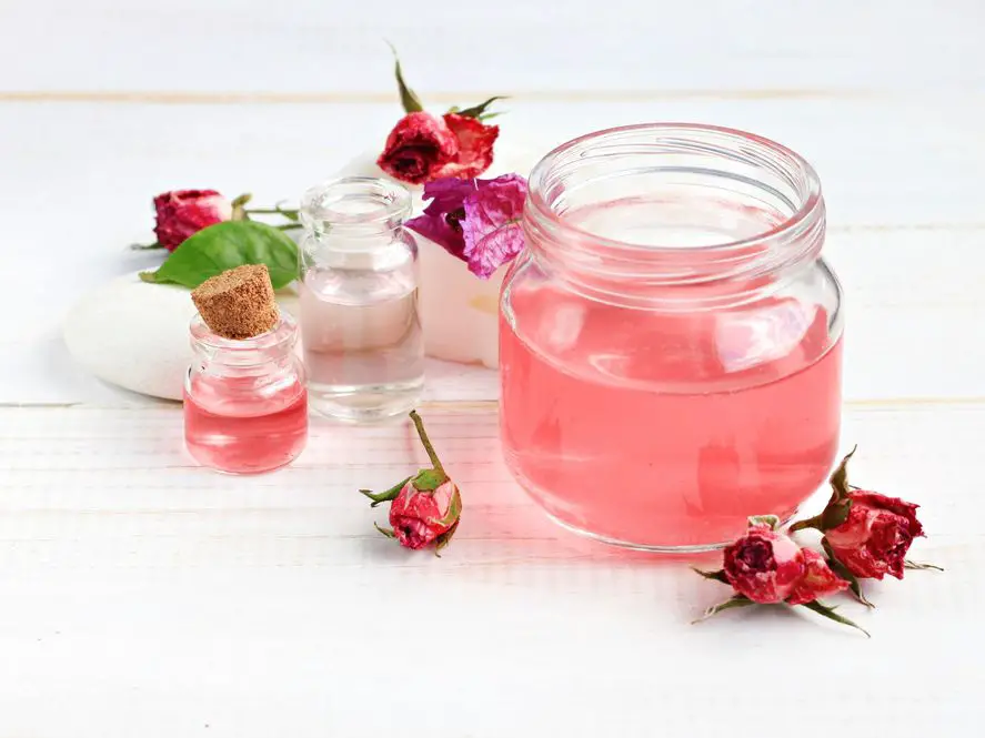 Aloe Vera gel vs Rose Water for Skin