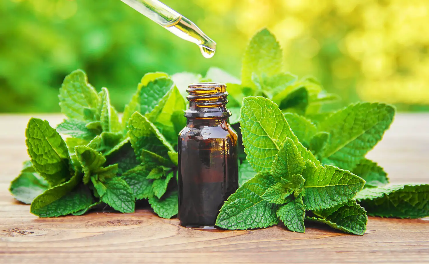 Peppermint essential oil smelling weird. What is the reason?