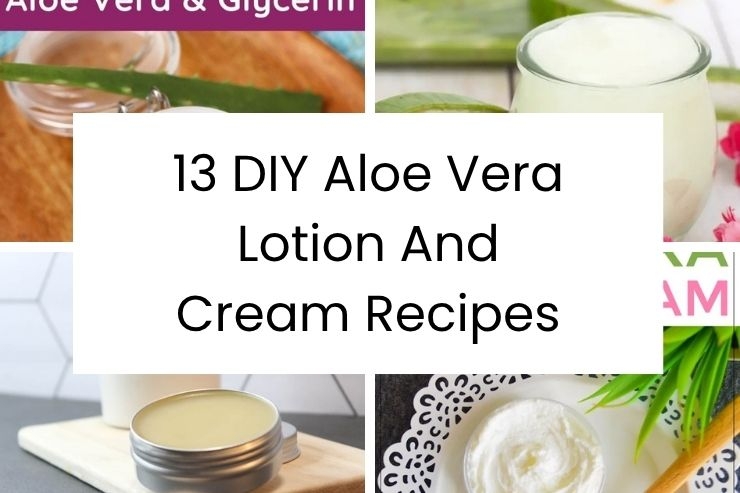 13 DIY Aloe Vera Lotion And Cream Recipes