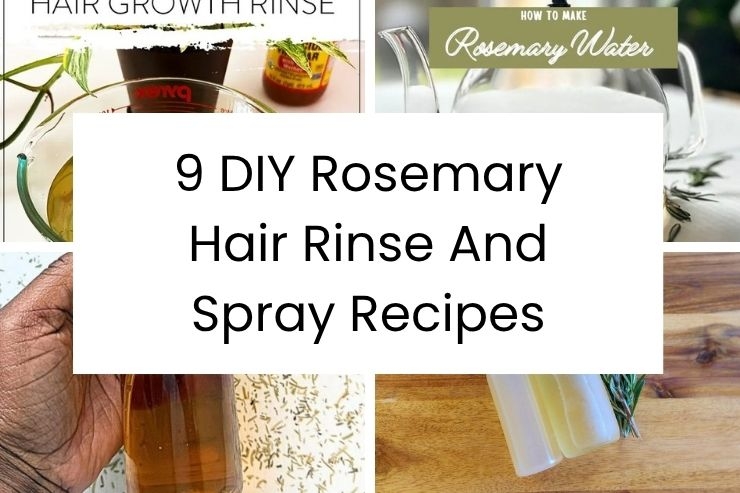 9 DIY Rosemary Hair Rinse And Spray Recipes
