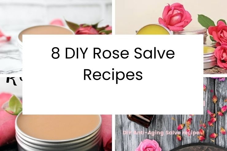 8 DIY Rose Salve Recipes