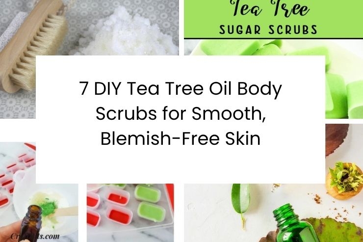 7 DIY Tea Tree Oil Body Scrubs for Smooth, Blemish-Free Skin