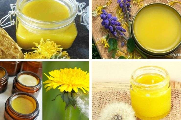 16 DIY Dandelion Salve Recipes for Dry Skin, Sore Muscles, Eczema