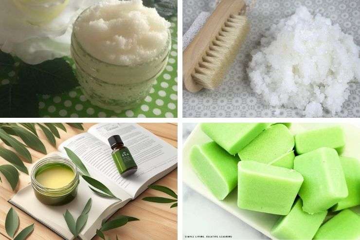7 DIY Tea Tree Oil Body Scrubs for Smooth, Blemish-Free Skin