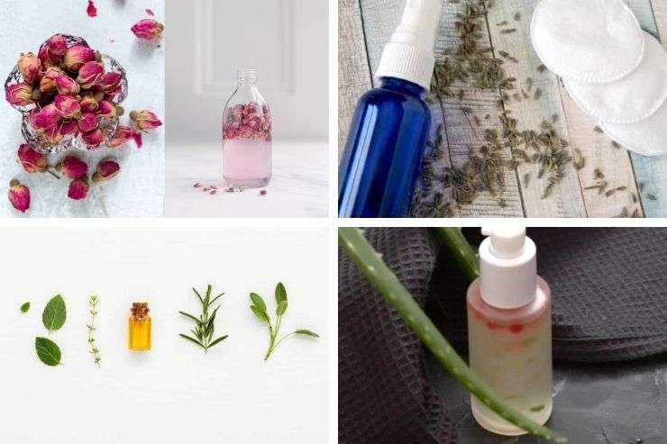 16 DIY Witch Hazel Toner Recipes That Actually Work